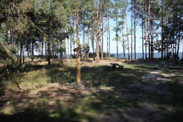 На території мисливських угідь Януковича створять національний природний парк, залишився останній крок – Семерак