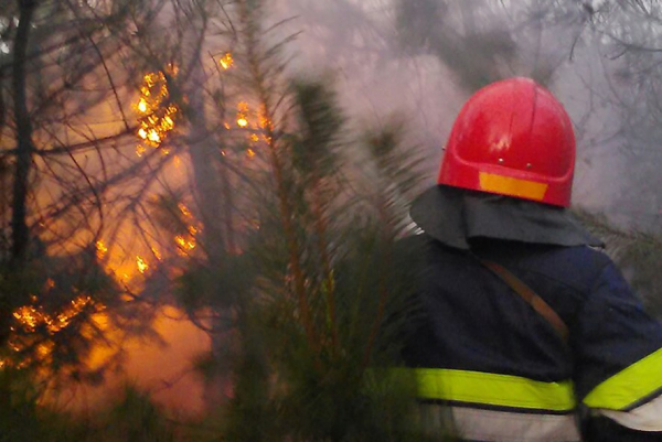 Пожежі в Україні: як екологи та активісти борються за ліс
