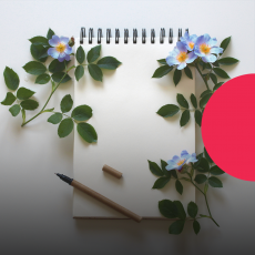 Український щоденник