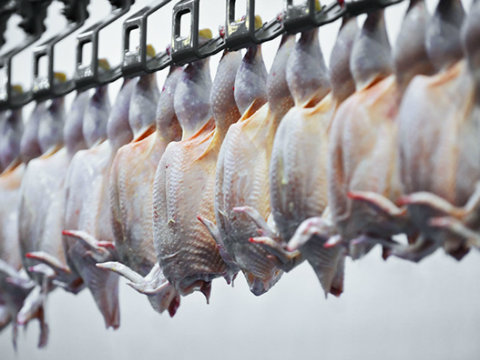 Україна збільшила виручку від агроекспорту на чверть