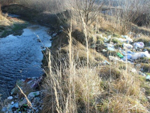 Семерак: кожні дві години в Україні помирає 3 людини через поганий стан довкілля