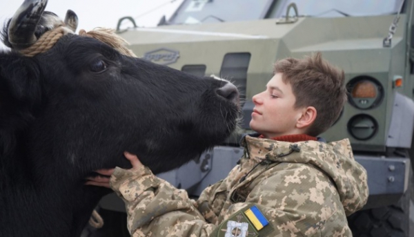 "Війна очима тварин": як документалісти нагадують світові про війну в Україні 