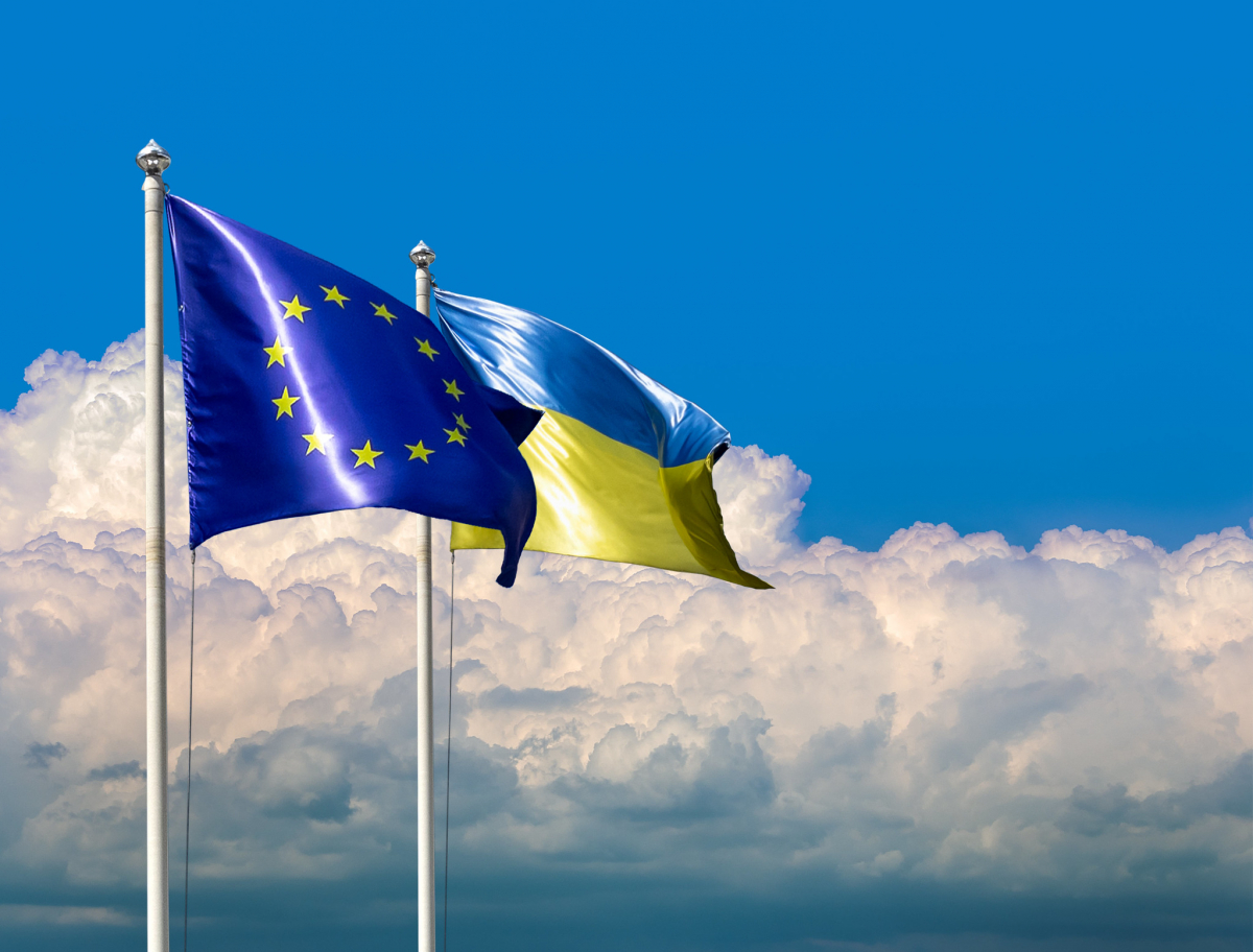 Україна виконала не 72, а 55 відсотків зобов'язань перед ЄС — Любов Акуленко