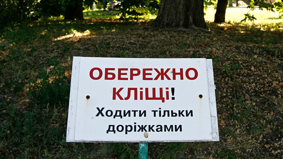 До кожного кліща варто ставитися як до переносника хвороби Лайма — інфекціоністка