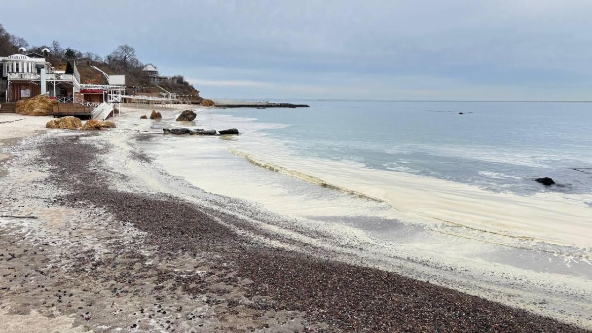 "Це злочин екоциду" — волонтерка про наслідки атаки росіян 20 грудня