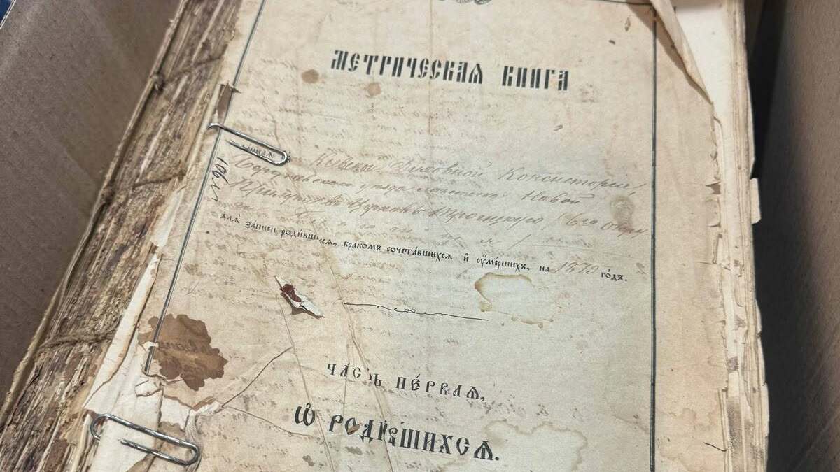 Вивчити історію своєї держави через свою родину: чому українці дедалі частіше шукають своє коріння  